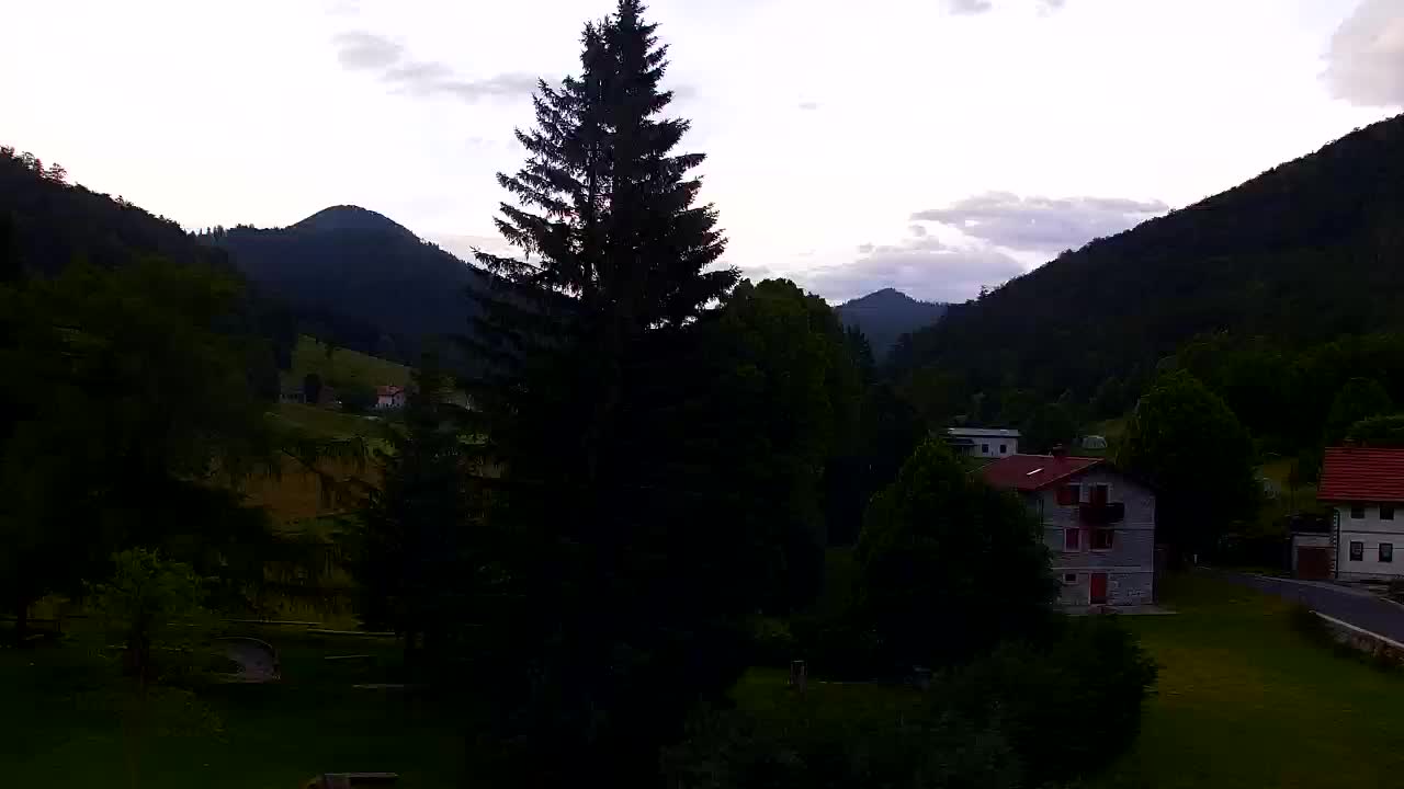 Webcam Loqua / Lokve – La bellezza della selva di Tarnova