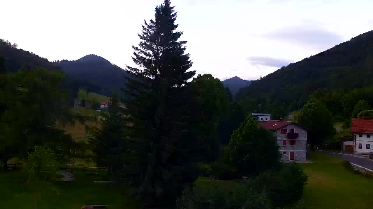 Camera en vivo Lokve – La belleza del bosque de Trnovo