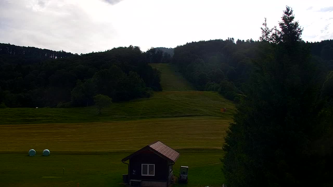 Webcam Loqua / Lokve – La bellezza della selva di Tarnova