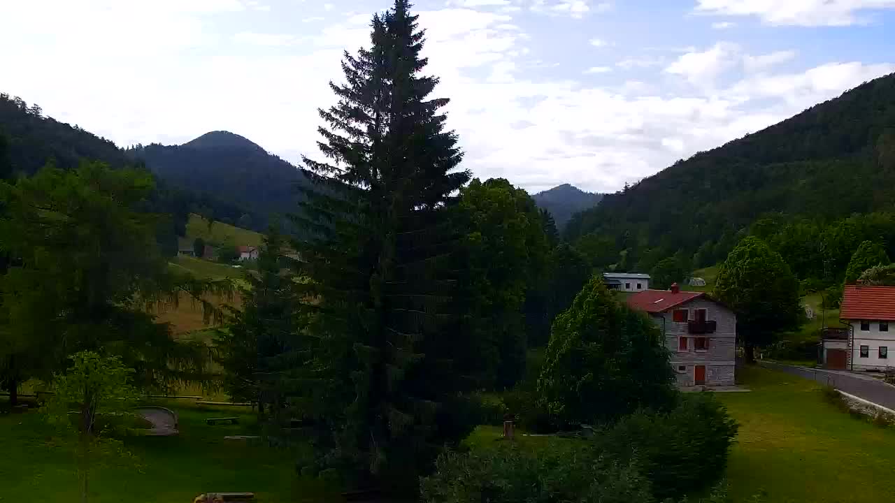 Webcam Lokve – The beauty of the Trnovo forest