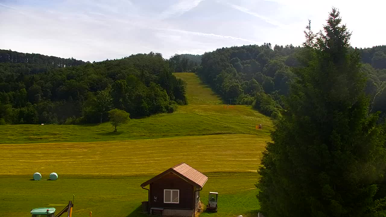 Webcam Loqua / Lokve – La bellezza della selva di Tarnova