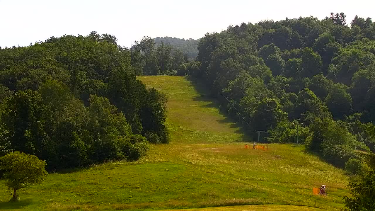 Webcam Lokve – La beauté de la forêt de Trnovo