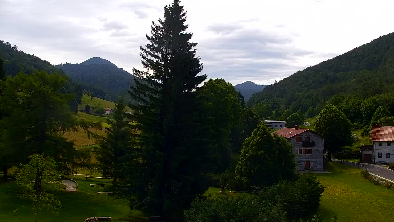 Webcam Loqua / Lokve – La bellezza della selva di Tarnova
