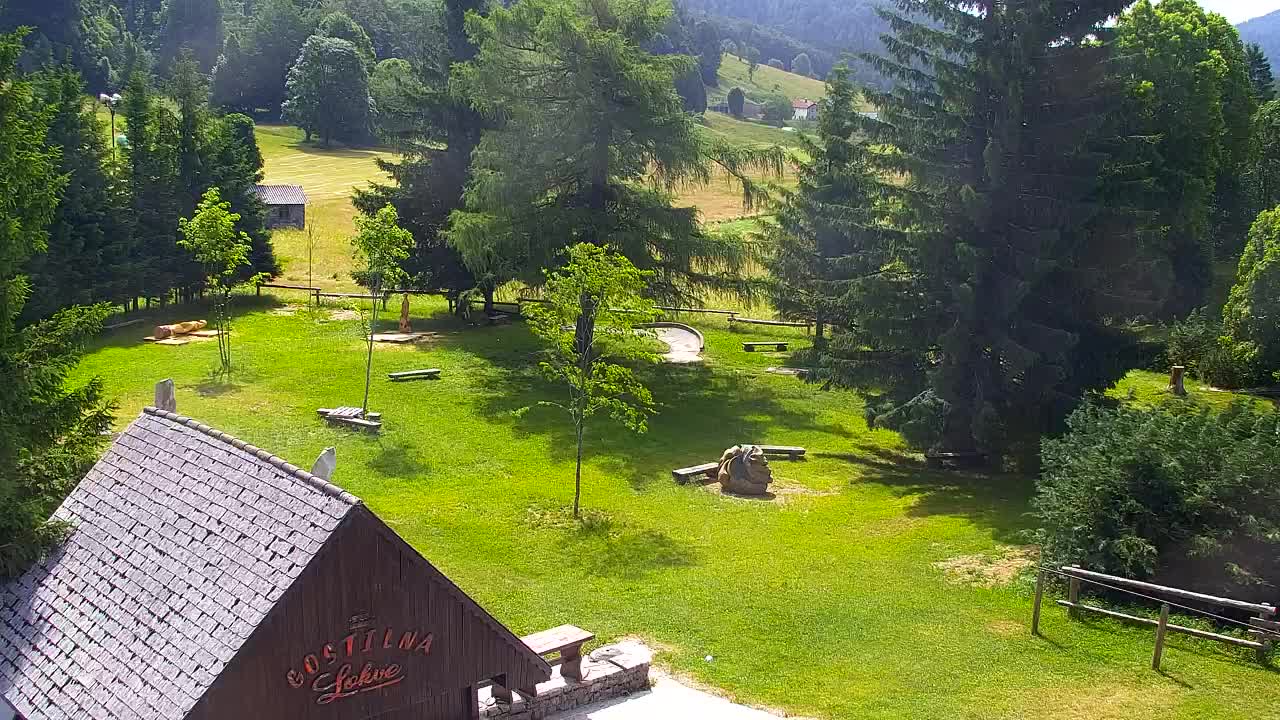 Webcam Lokve – The beauty of the Trnovo forest
