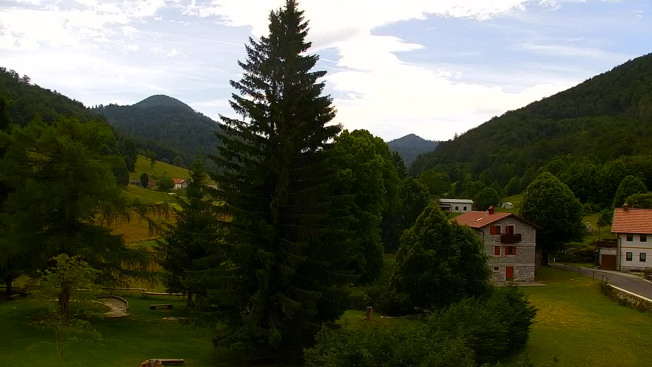 Webcam Lokve – The beauty of the Trnovo forest
