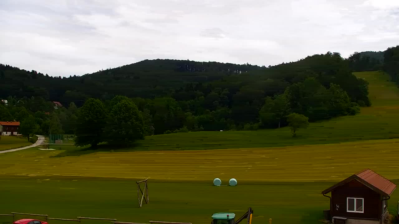 Webcam Loqua / Lokve – La bellezza della selva di Tarnova