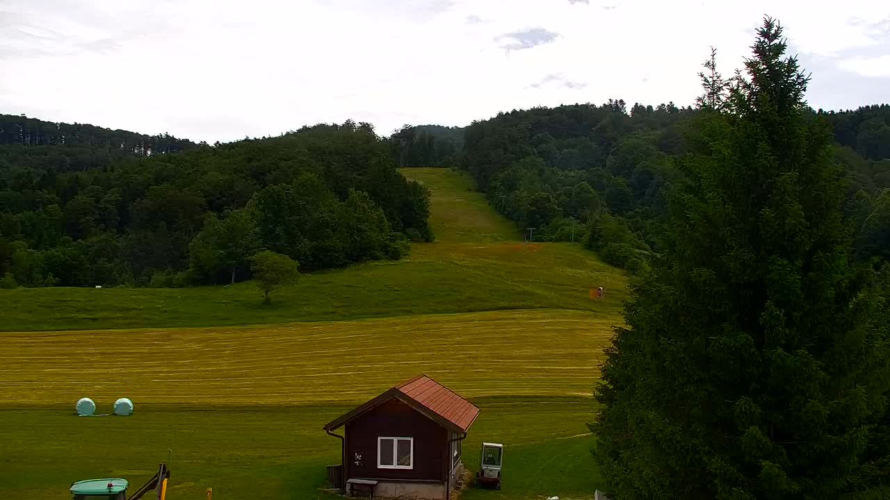 Webcam Lokve – The beauty of the Trnovo forest