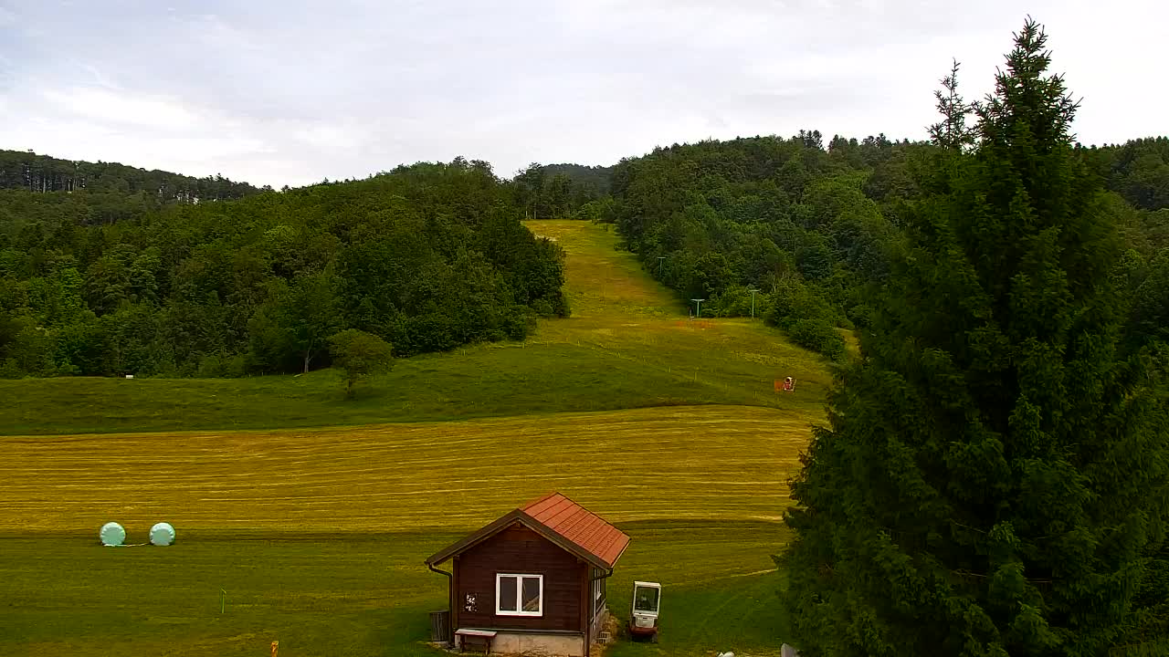 Webcam Loqua / Lokve – La bellezza della selva di Tarnova