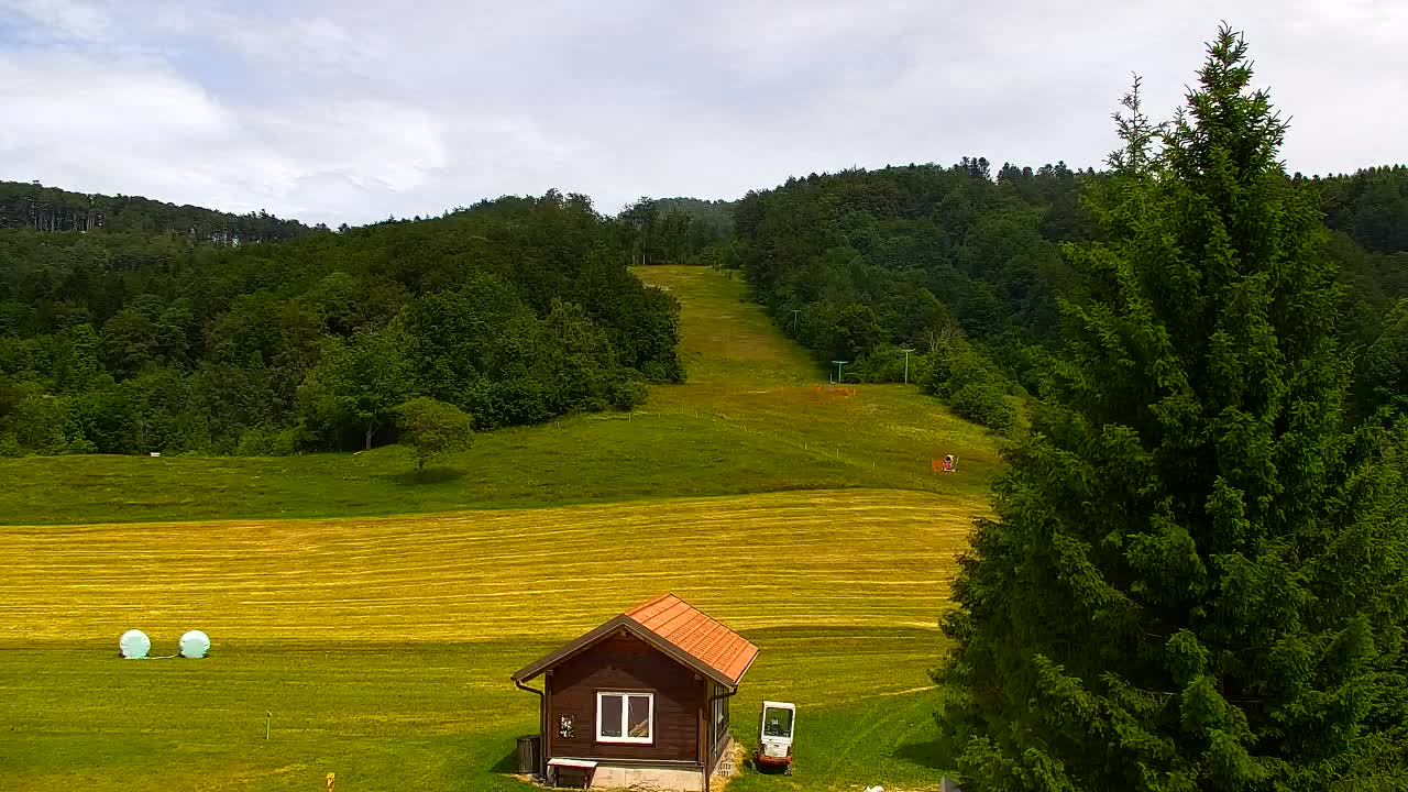 Webcam Loqua / Lokve – La bellezza della selva di Tarnova