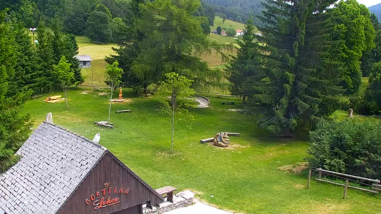 Webcam Loqua / Lokve – La bellezza della selva di Tarnova