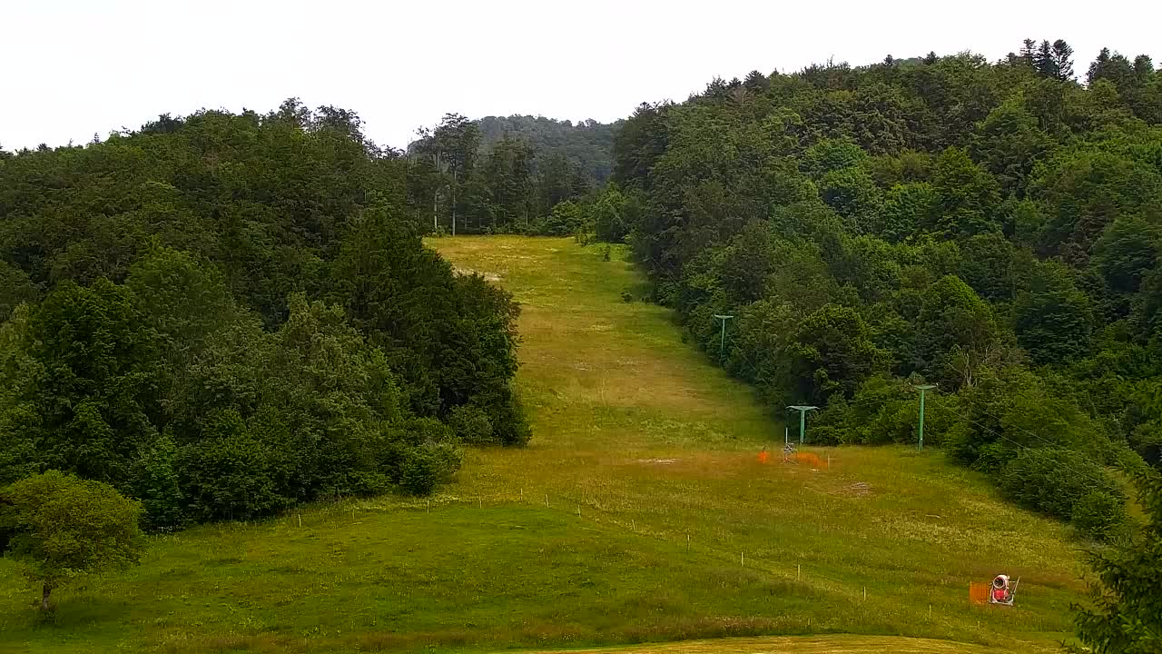 Webcam Lokve – La beauté de la forêt de Trnovo