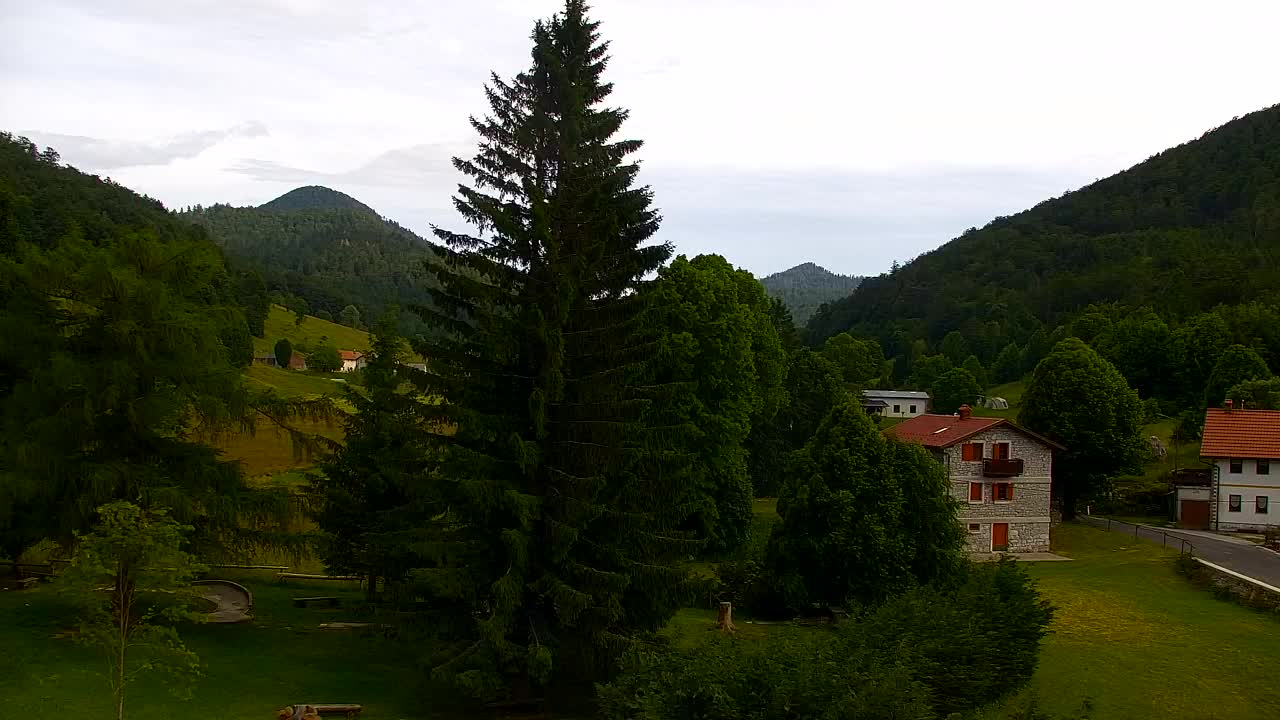 Webcam Lokve – The beauty of the Trnovo forest