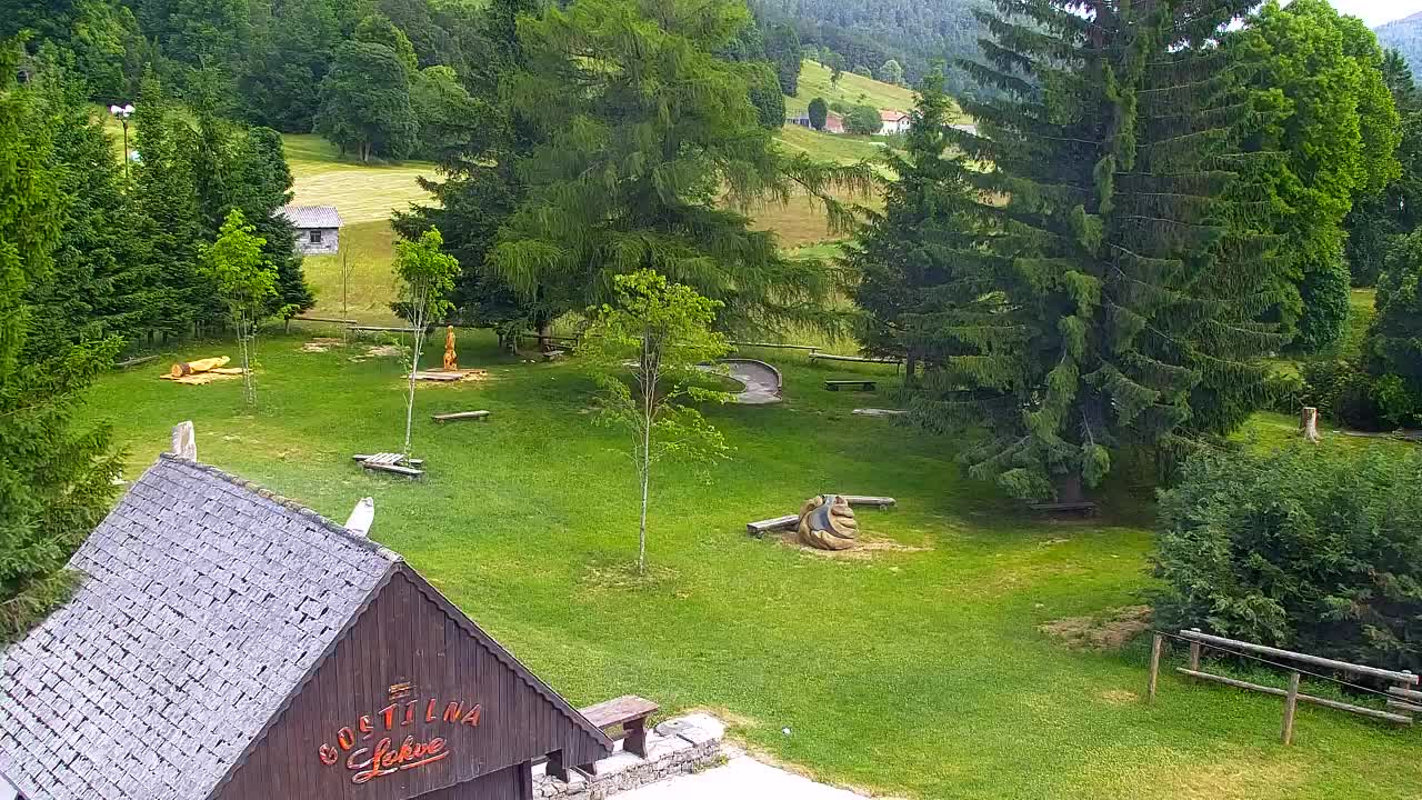 Webcam Lokve – La beauté de la forêt de Trnovo