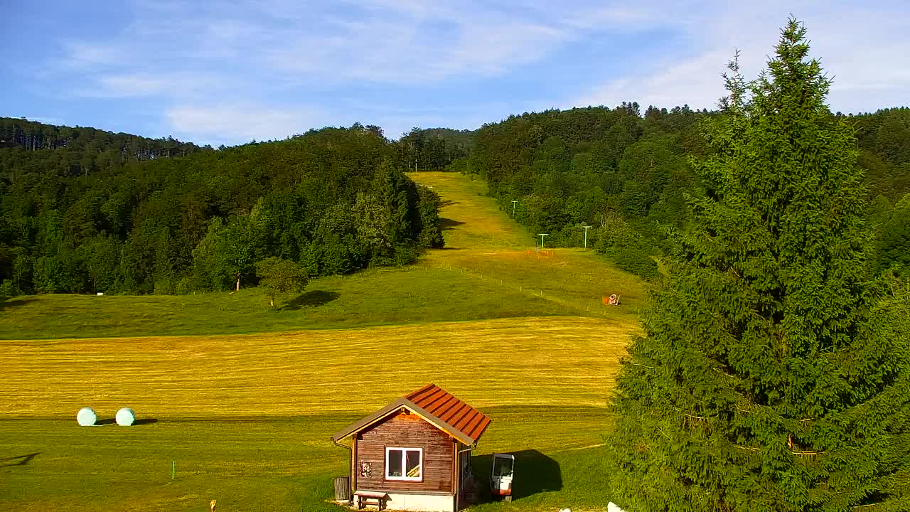 Webcam Lokve – The beauty of the Trnovo forest
