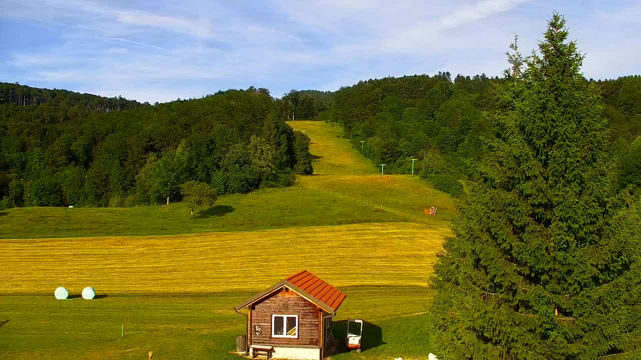 Webcam Lokve – The beauty of the Trnovo forest