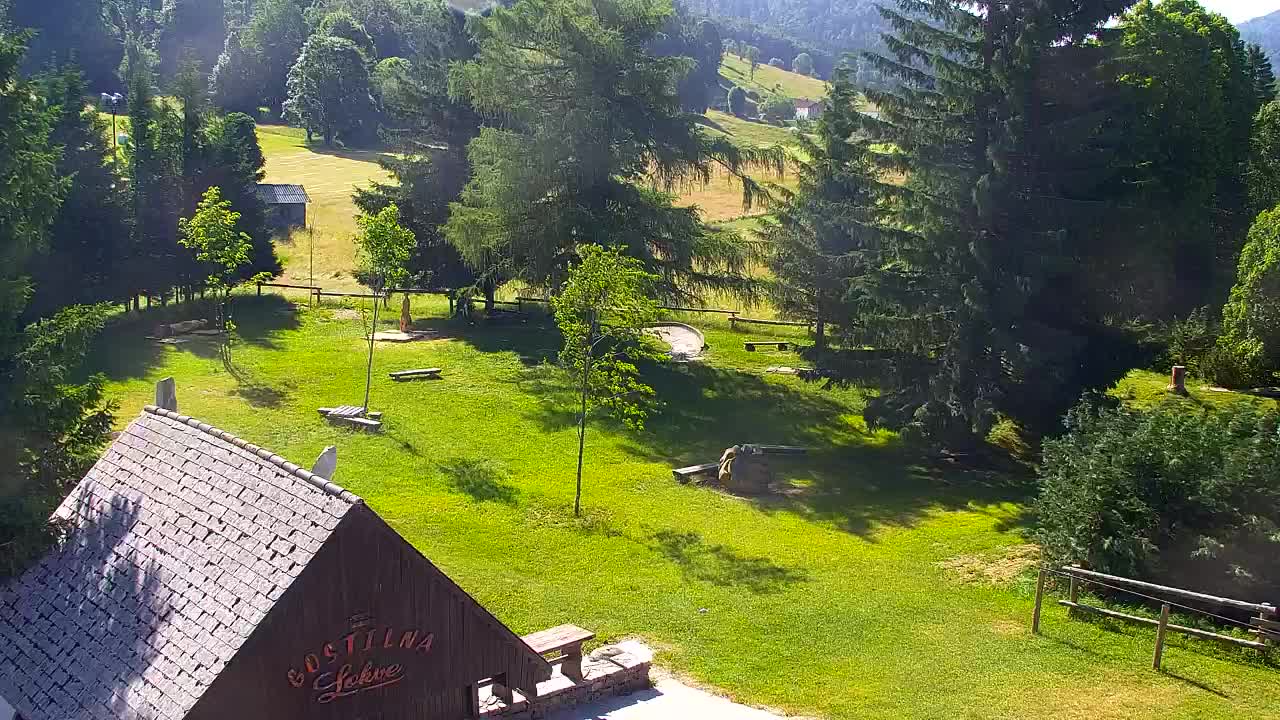 Webcam Lokve – The beauty of the Trnovo forest