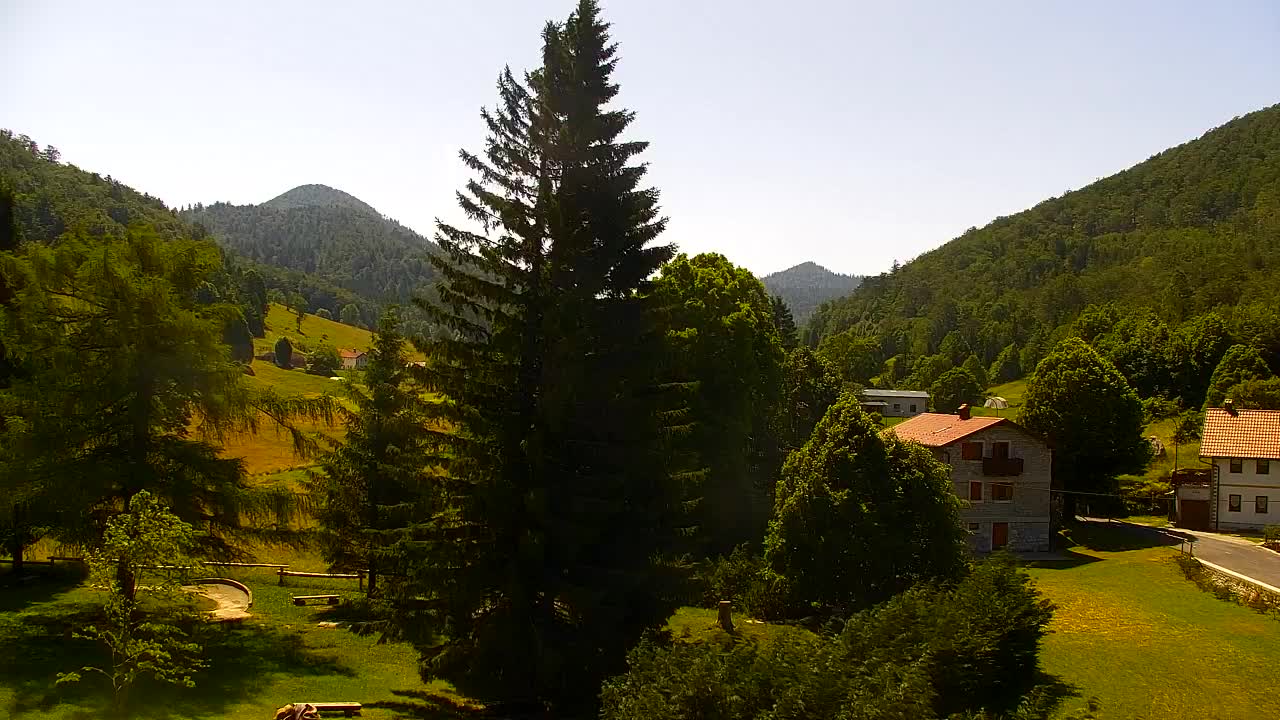 Webcam Lokve – The beauty of the Trnovo forest