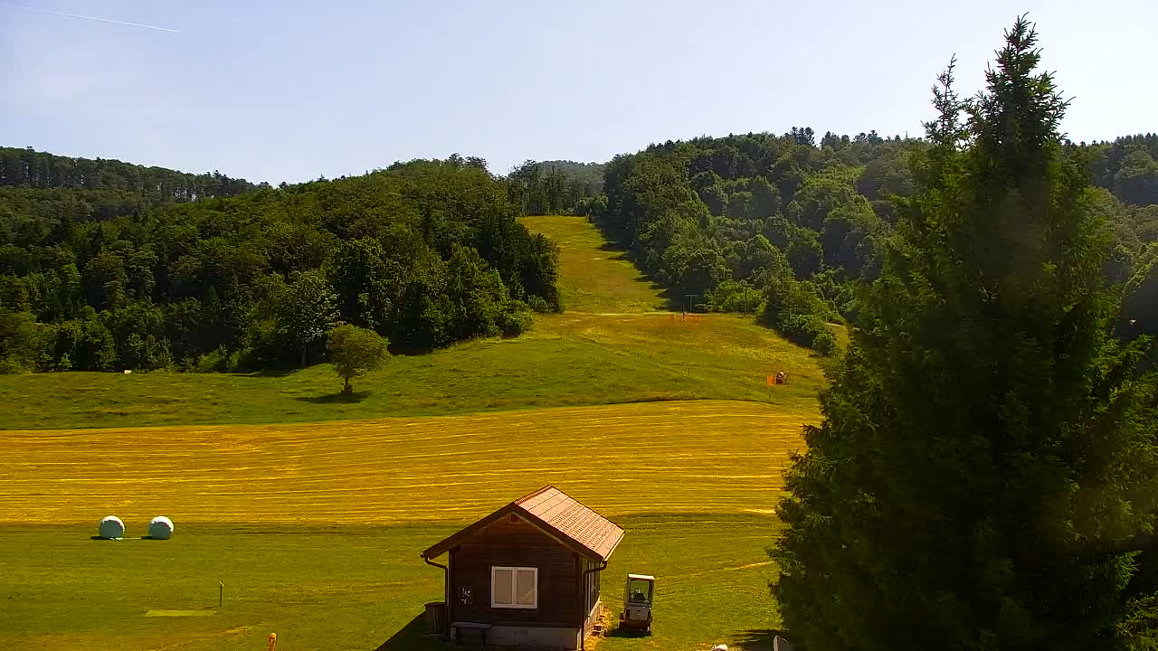 Webcam Lokve – The beauty of the Trnovo forest