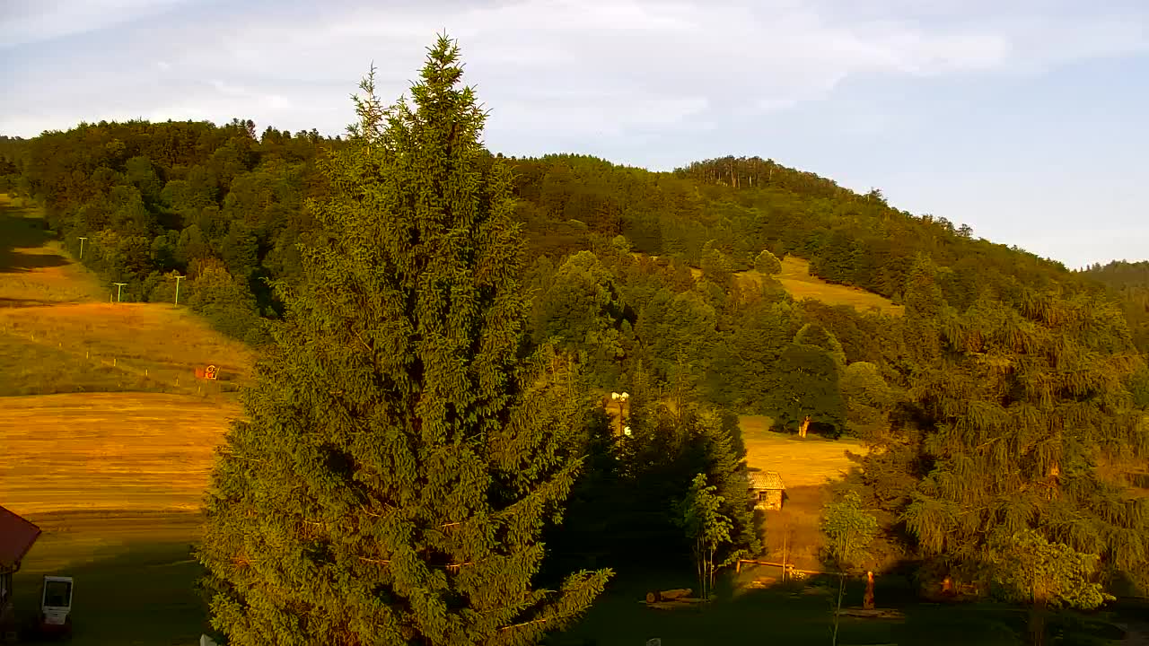 Webcam Lokve – Die Schönheit des Trnovo-Waldes
