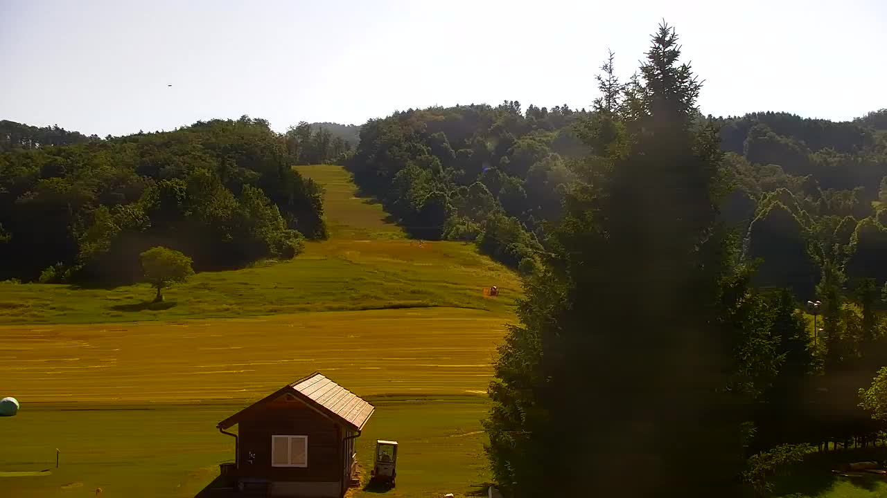 Webcam Lokve – The beauty of the Trnovo forest