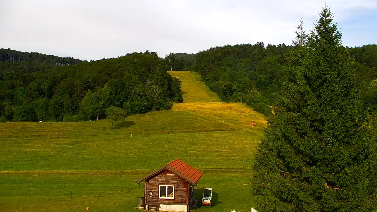 Webcam Lokve – The beauty of the Trnovo forest
