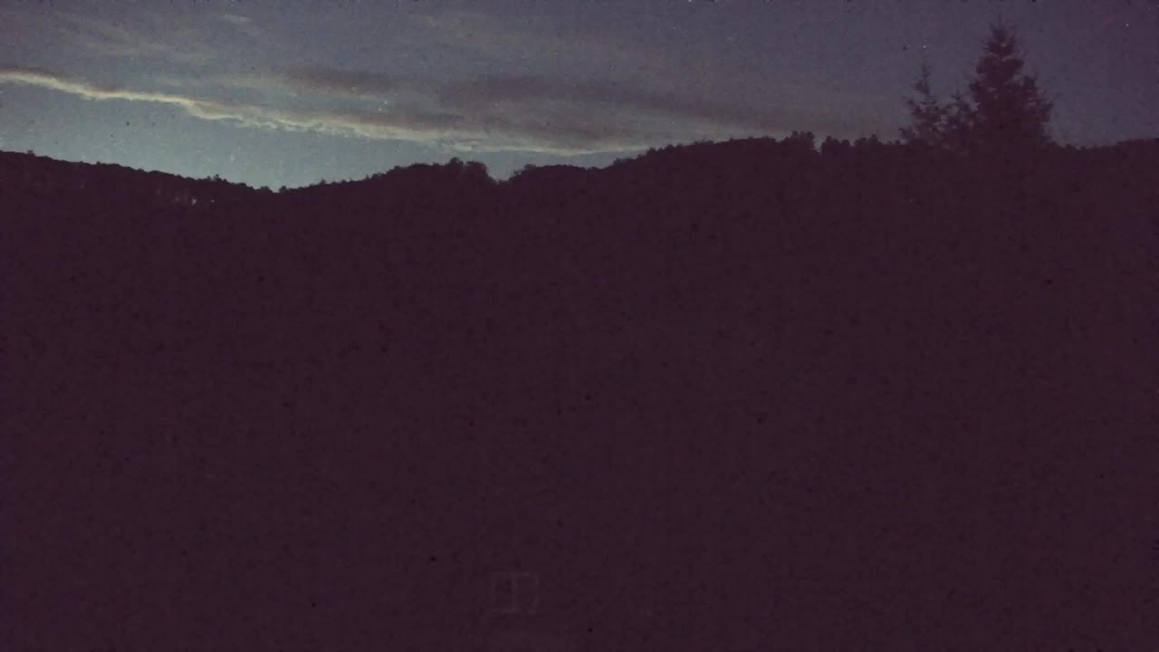 Webcam Lokve – The beauty of the Trnovo forest