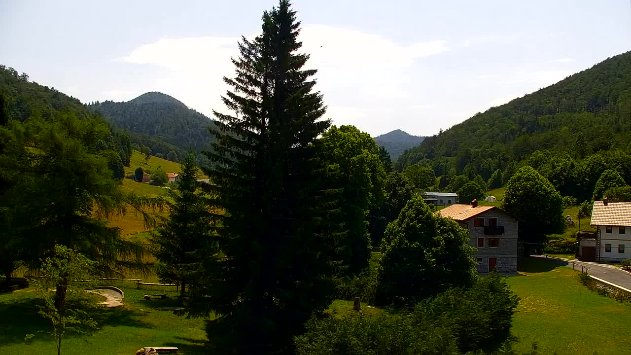 Webcam Lokve – The beauty of the Trnovo forest