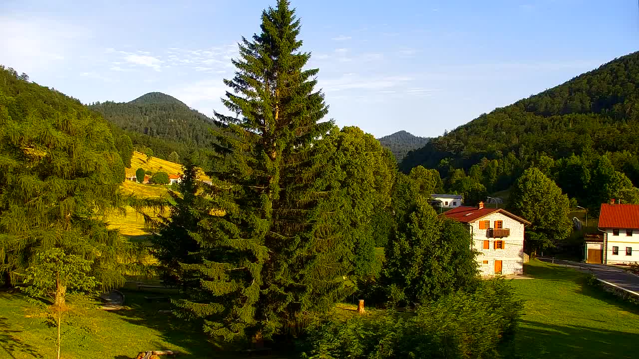 Camera en vivo Lokve – La belleza del bosque de Trnovo