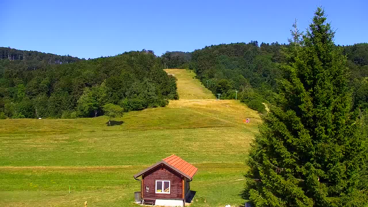 Webcam Lokve – Die Schönheit des Trnovo-Waldes