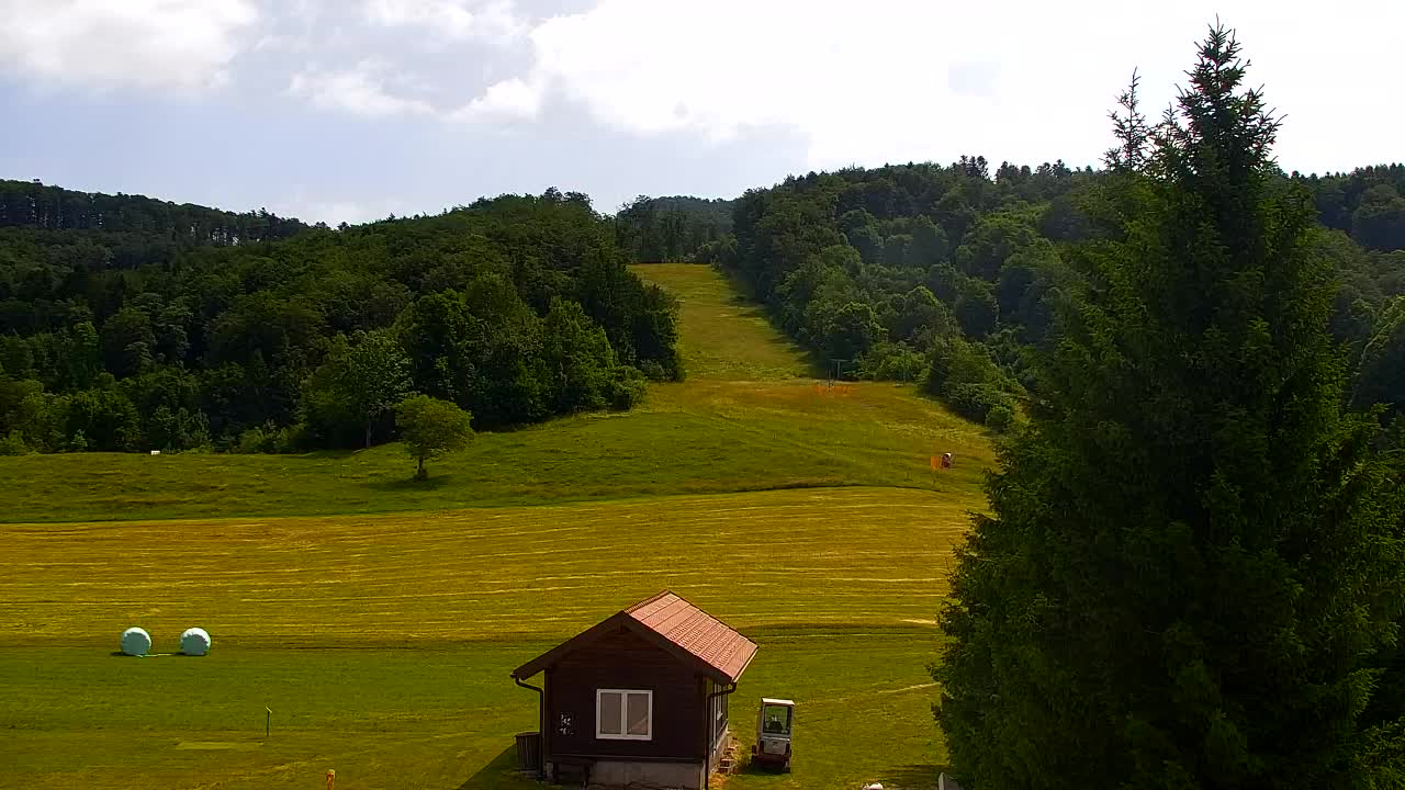 Webcam Lokve – The beauty of the Trnovo forest