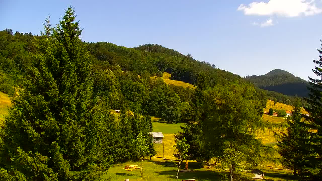 Webcam Loqua / Lokve – La bellezza della selva di Tarnova