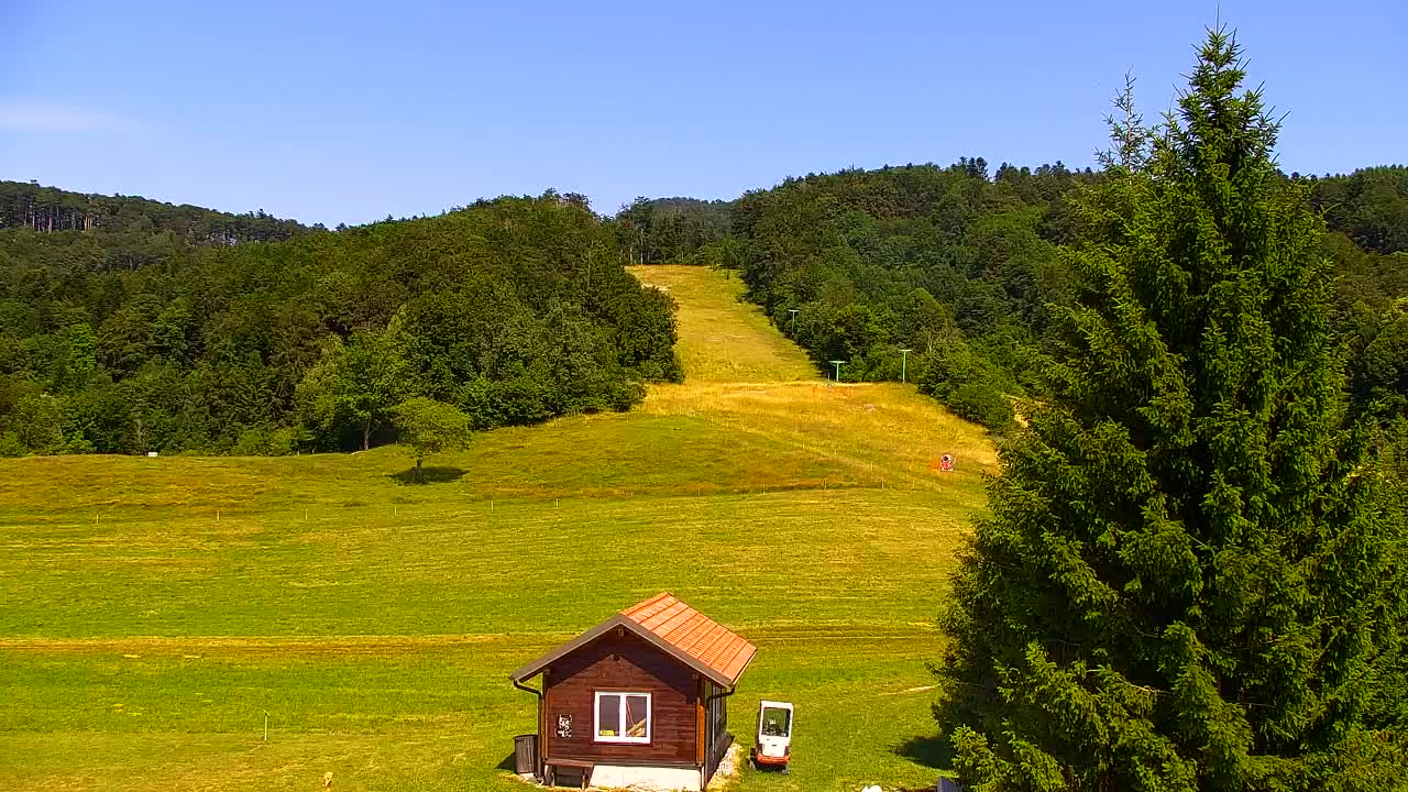 Webcam Loqua / Lokve – La bellezza della selva di Tarnova