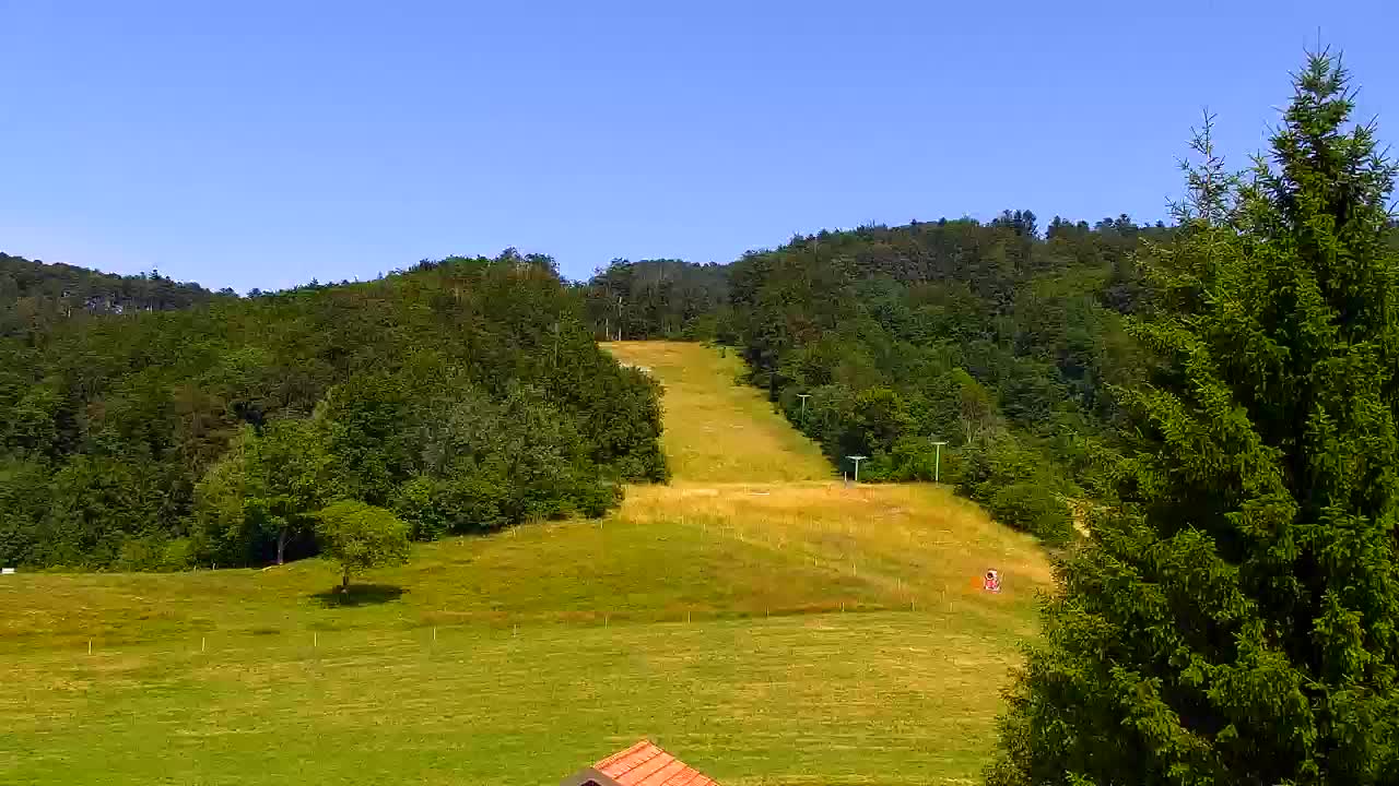 Webcam Lokve – The beauty of the Trnovo forest