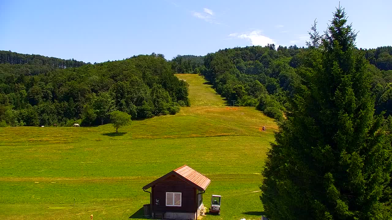 Webcam Lokve – Die Schönheit des Trnovo-Waldes