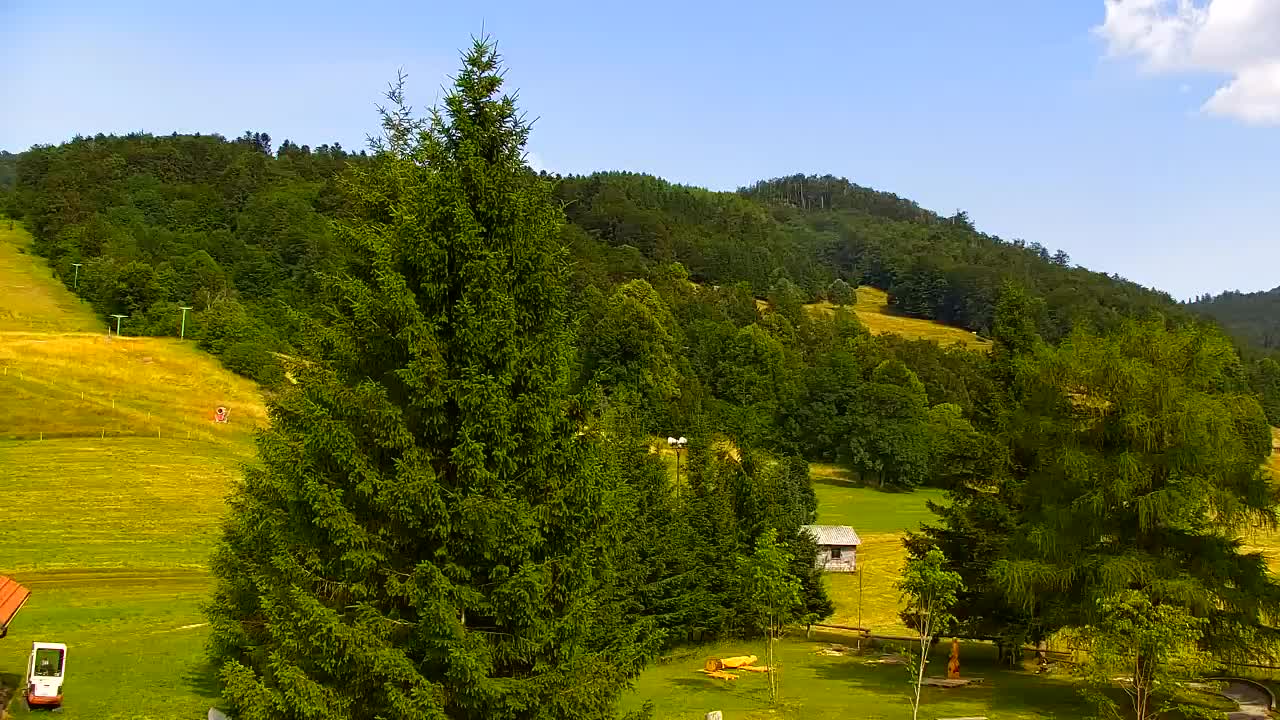 Webcam Lokve – The beauty of the Trnovo forest