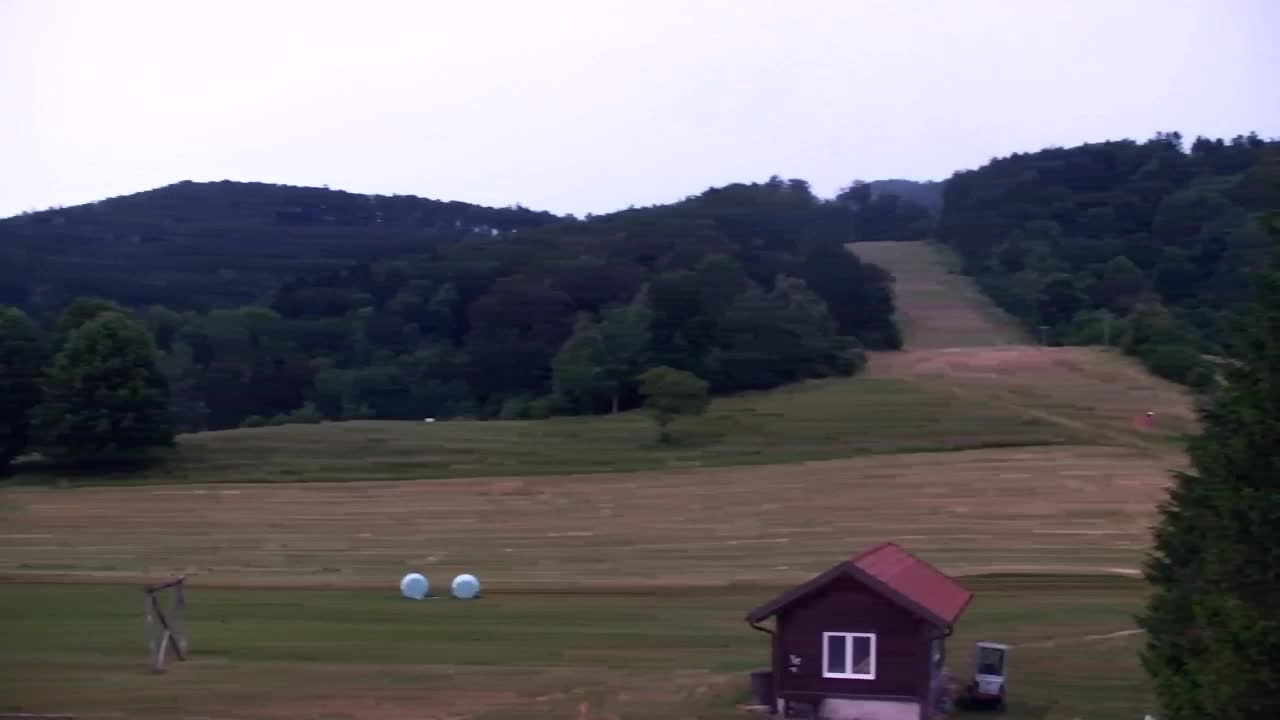 Webcam Lokve – The beauty of the Trnovo forest