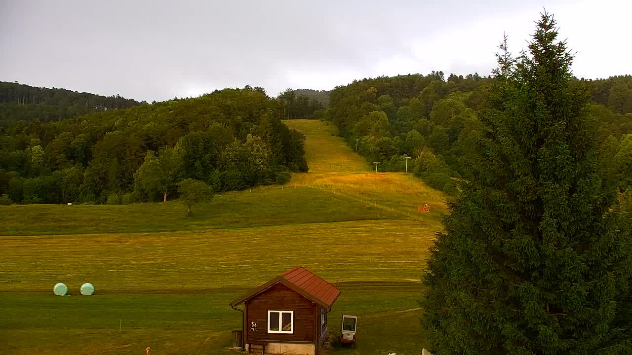 Webcam Loqua / Lokve – La bellezza della selva di Tarnova