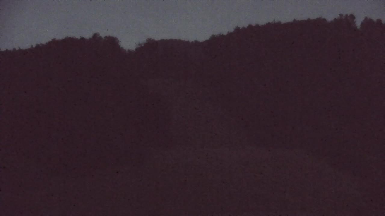 Webcam Lokve – La beauté de la forêt de Trnovo