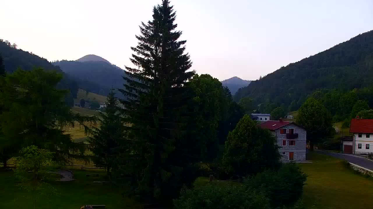 Webcam Loqua / Lokve – La bellezza della selva di Tarnova