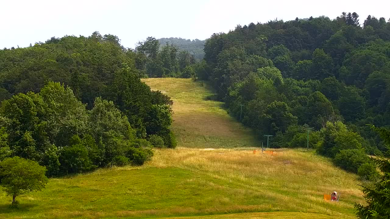 Webcam Lokve – The beauty of the Trnovo forest