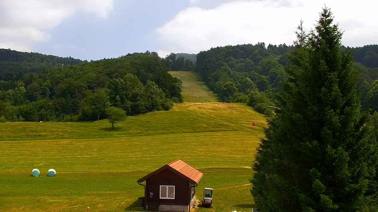 Webcam Lokve – The beauty of the Trnovo forest
