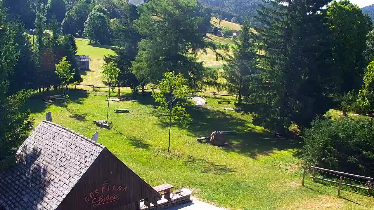 Webcam Loqua / Lokve – La bellezza della selva di Tarnova