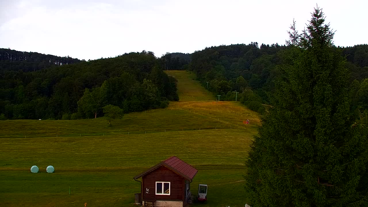 Webcam Lokve – The beauty of the Trnovo forest