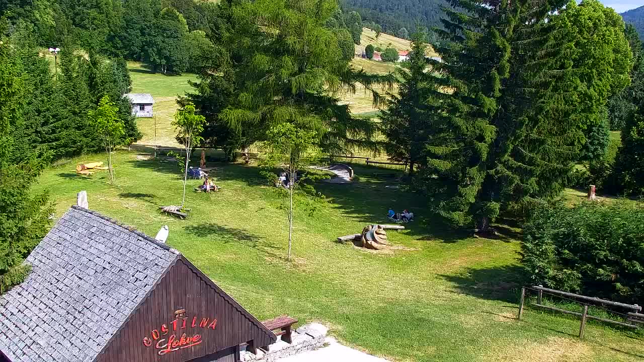 Webcam Lokve – The beauty of the Trnovo forest