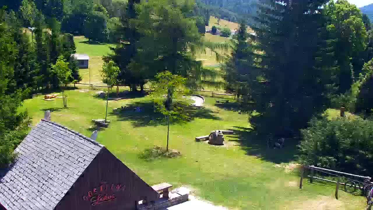 Webcam Lokve – The beauty of the Trnovo forest