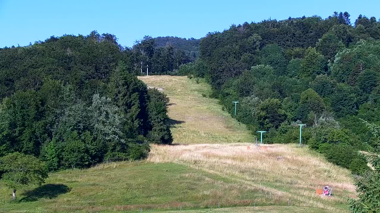 Webcam Lokve – The beauty of the Trnovo forest