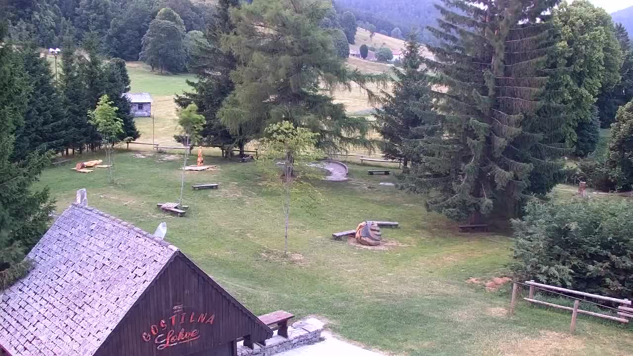 Webcam Lokve – The beauty of the Trnovo forest