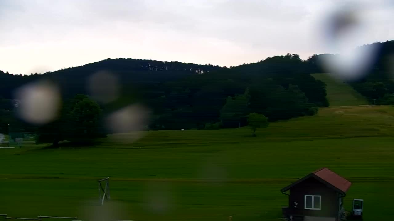 Webcam Loqua / Lokve – La bellezza della selva di Tarnova
