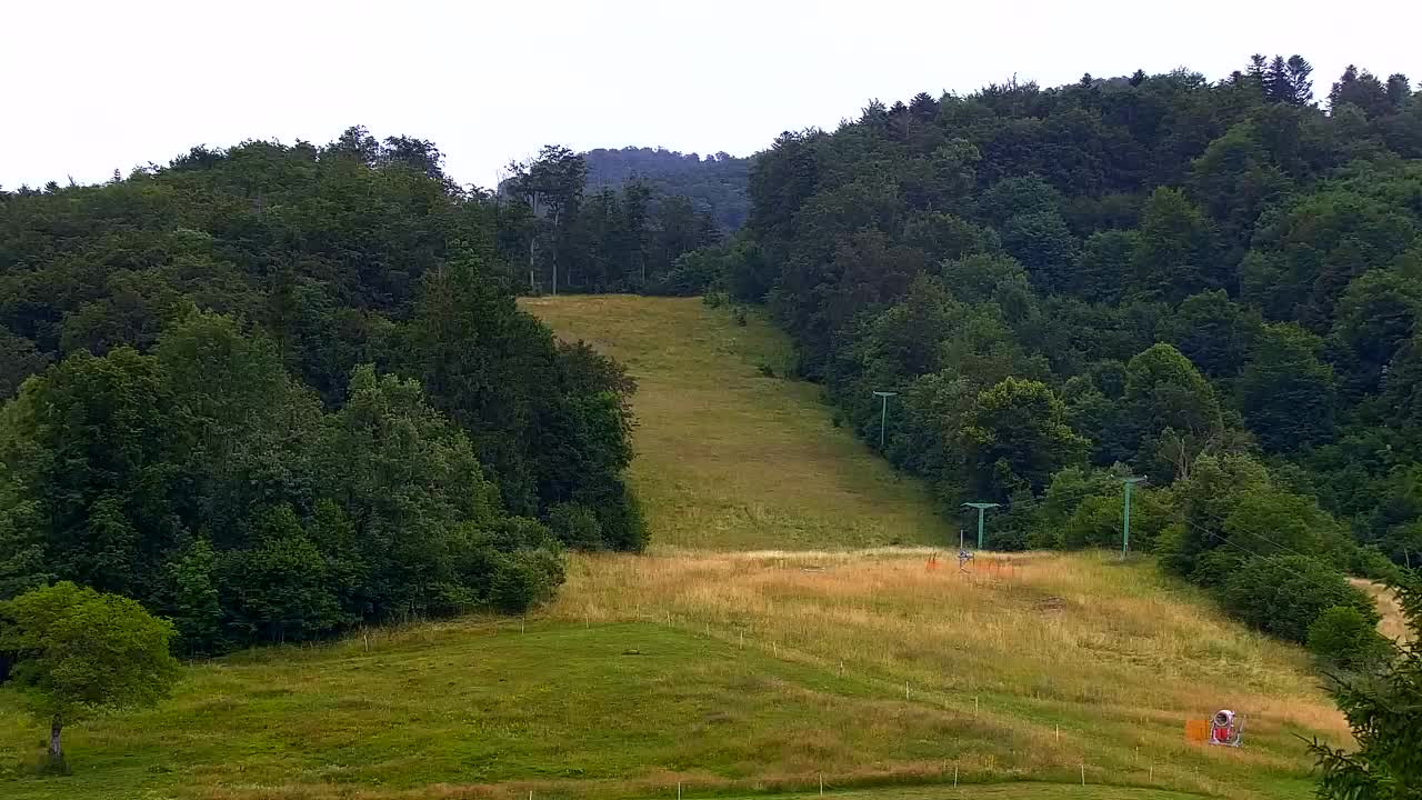 Webcam Loqua / Lokve – La bellezza della selva di Tarnova