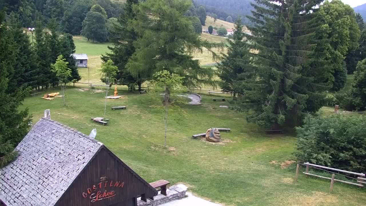 Webcam Lokve – La beauté de la forêt de Trnovo